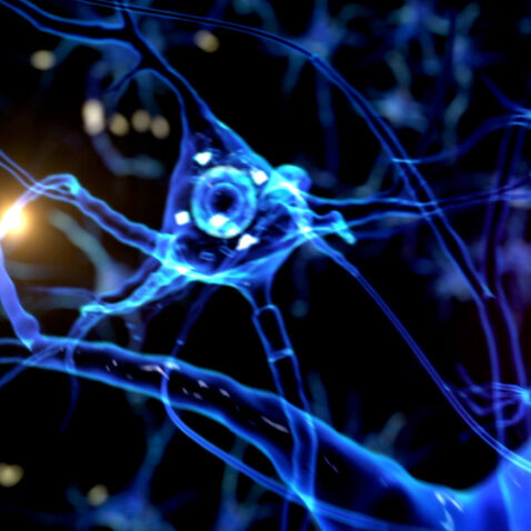 Neuroscience image of brain