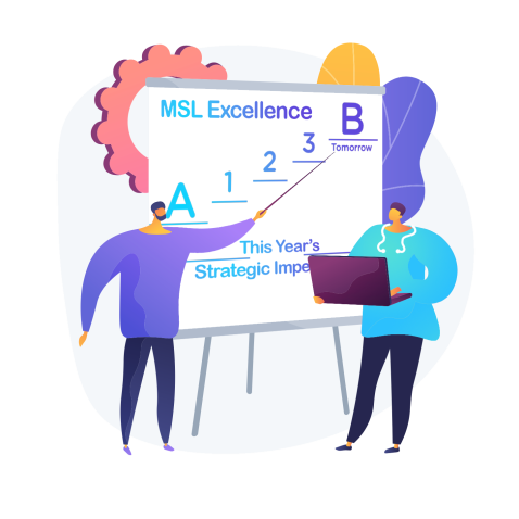 MSL-Excellence-Situation